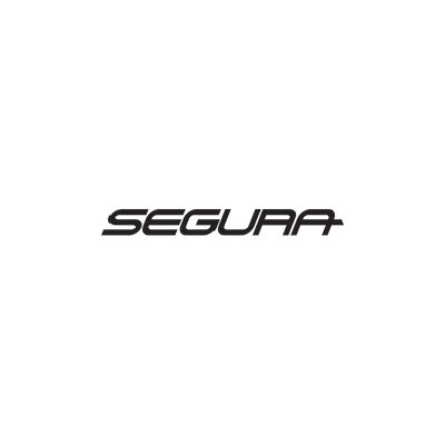 Logo segura (300 × 300 px)